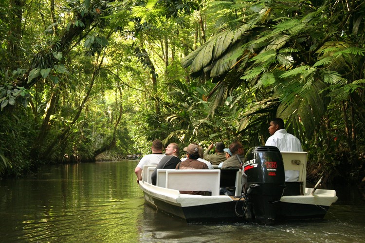 Boottocht door de kanalen van Tortuguero Nationaal Park